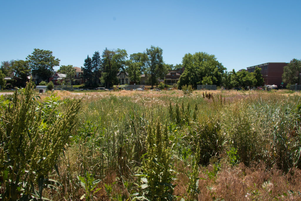 Cosmopolitan Urban Meadow New Public Sites